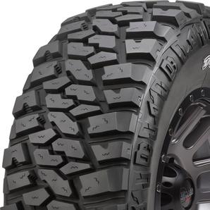 dickcepek-extremecountry-owl-